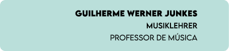 Guilherme Werner Junkes Musiklehrer Professor de M sica 