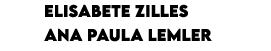 Elisabete Zilles Ana Paula Lemler