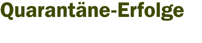 Quarantäne-Erfolge