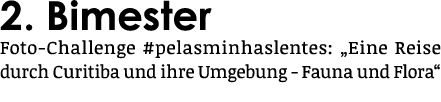 2  Bimester Foto-Challenge #pelasminhaslentes:  Eine Reise durch Curitiba und ihre Umgebung - Fauna und Flora 
