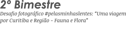 2  Bimestre Desafio fotográfico #pelasminhaslentes:  Uma viagem por Curitiba e Região - Fauna e Flora 
