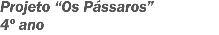 Projeto  Os Pássaros  4  ano 