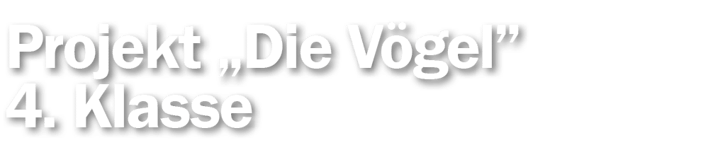 Projekt  Die Vögel  4  Klasse