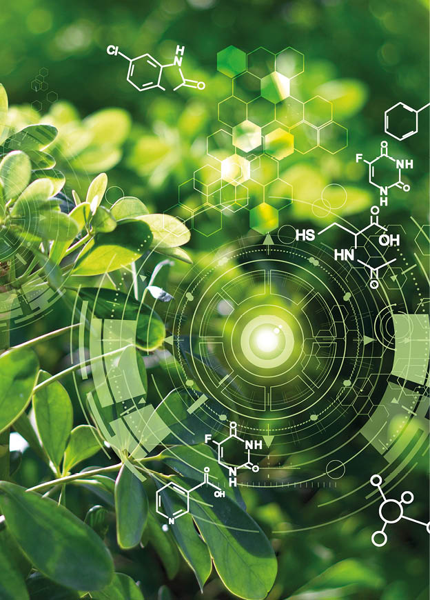 Biology laboratory nature and science, Plants with biochemistry structure on green background   
