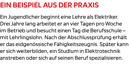 Ein Beispiel aus der Praxis Ein Jugendlicher beginnt eine Lehre als Elektriker. Drei Jahre lang arbeitet er an vier T...