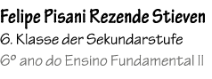 Felipe Pisani Rezende Stieven 6. Klasse der Sekundarstufe 6º ano do Ensino Fundamental II