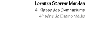 Lorenzo Storrer Mendes 4. Klasse des Gymnasiums 4ª s rie do Ensino M dio