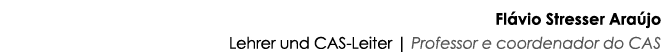 Fl vio Stresser Ara jo Lehrer und CAS-Leiter | Professor e coordenador do CAS
